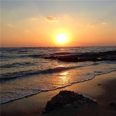 雷火体育APP官网入口